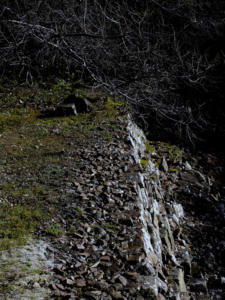 Branzoll Cava Alta 001-008