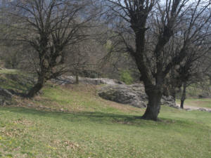Castelfeder 103