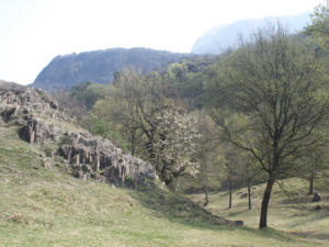 Castelfeder 10