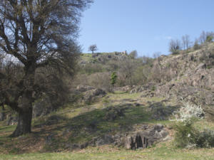Castelfeder 112