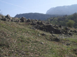 Castelfeder 11