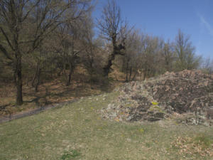 Castelfeder 12