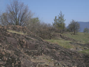 Castelfeder 16