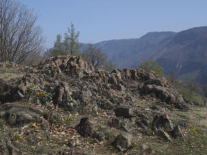 Castelfeder 18