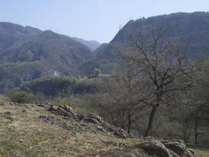 Castelfeder 19