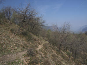 Castelfeder 20