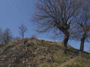 Castelfeder 22