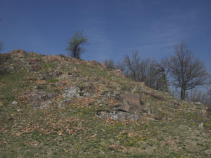 Castelfeder 25