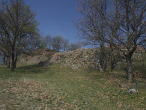 Castelfeder 26
