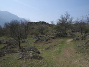 Castelfeder 27