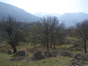 Castelfeder 28