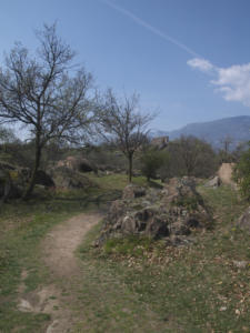 Castelfeder 29