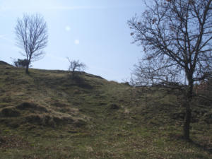 Castelfeder 36