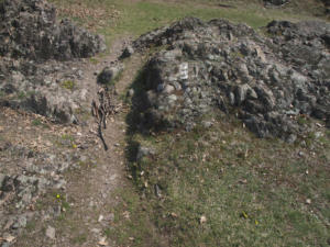 Castelfeder 40