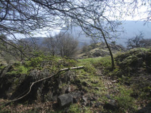 Castelfeder 46