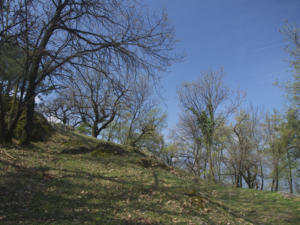 Castelfeder 53