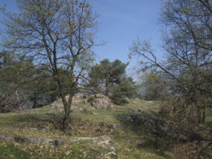 Castelfeder 54