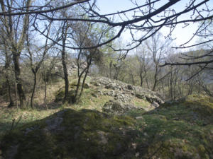 Castelfeder 59
