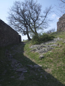 Castelfeder 62