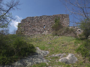 Castelfeder 63