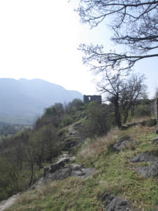 Castelfeder 65