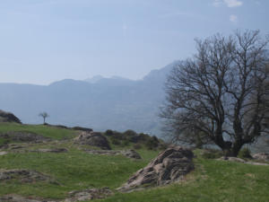 Castelfeder 71