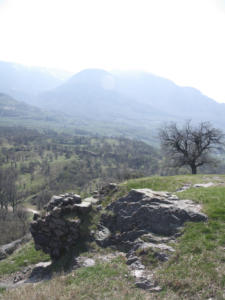 Castelfeder 73