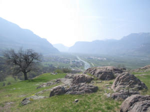 Castelfeder 74