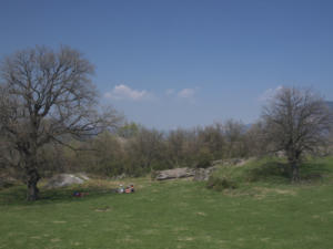 Castelfeder 77