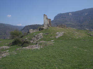 Castelfeder 78