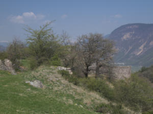 Castelfeder 82