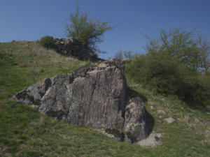 Castelfeder 84