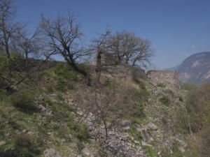 Castelfeder 85