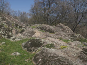 Castelfeder 91