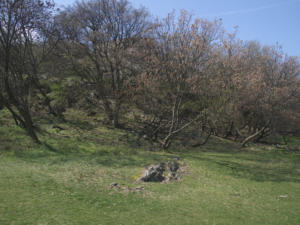 Castelfeder 92