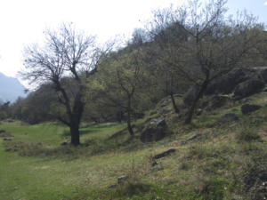 Castelfeder 94