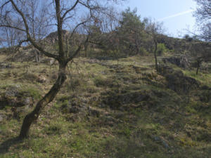 Castelfeder 96