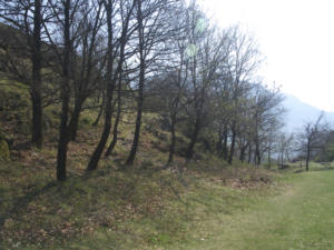 Castelfeder 97