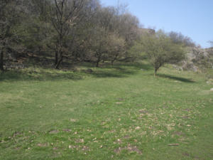 Castelfeder 98