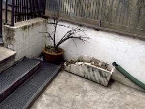 Stadt Zentrum -013